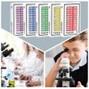 Plastic Prepared Microscope Slides for Kids, Cainda 60pcs Animals Insects