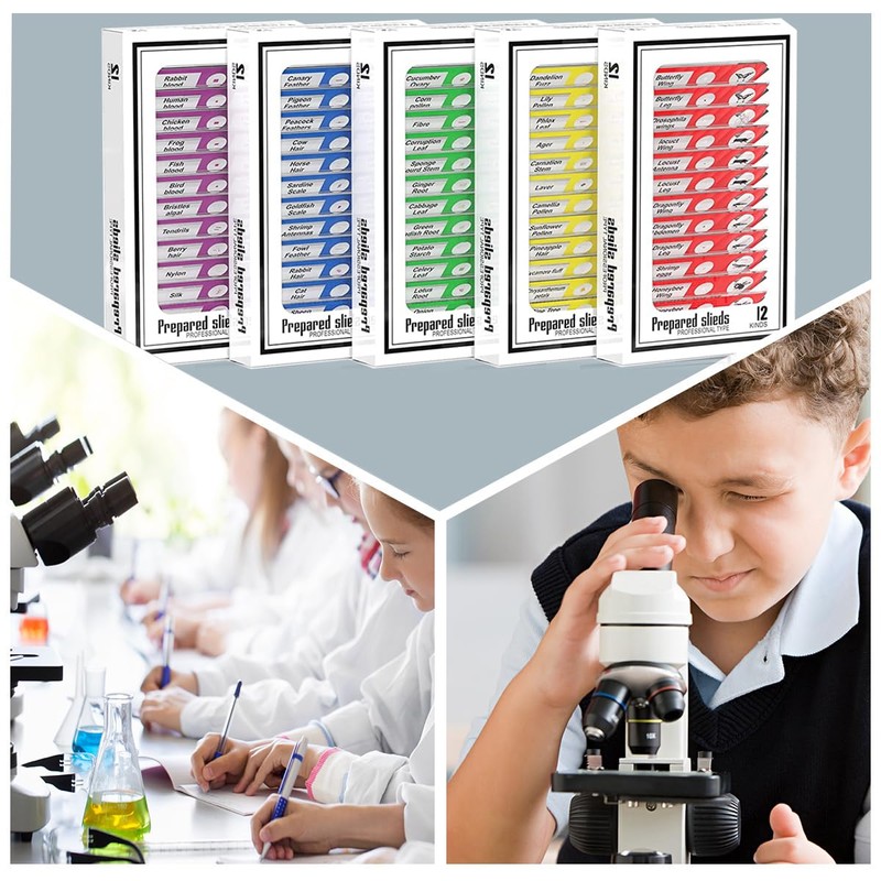 Plastic Prepared Microscope Slides for Kids, Cainda 60pcs Animals Insects