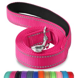 Joytale Reflective Dog Leash,6 FT/4 FT, Padded Handle Nylon Dogs Leashes for Walking,Training Lead for Large, Medium & Small Dogs