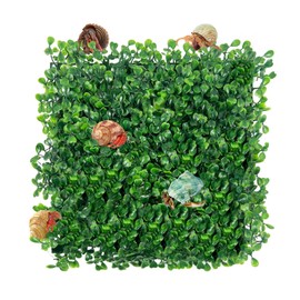 Rainmae Hermit Crab Climbing Toys, Faux Grass Mat Fake Turf Hermit Crab Climbing Wall, Plastic Aquarium Plants Lawn Hermit Crab Supplies Climbing and Hide Toy for Gecko Reptile Lizard 10 x 10 Inch