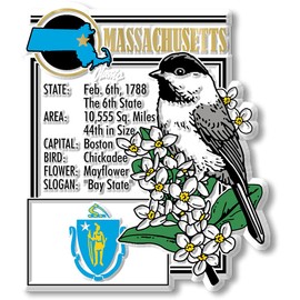 Massachusetts State Montage Magnet by Classic Magnets, 2.7" x 3.2", Collectible Souvenirs and Gifts Made in The USA