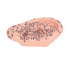 6.7in Ear Acupuncture Model Silicone Engraving Ear Massage Acupuncture Model