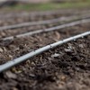 (50' ft Roll) Drip Irrigation Line 1/4" Tubing Roll, 6"
