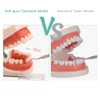 FUREIN SMILE Dental Typodont Teeth Model - Practice Dentist Tooth