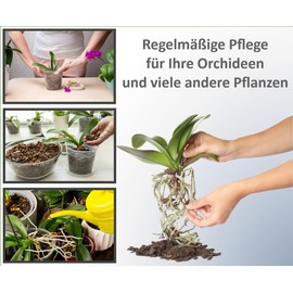 meindekoartikel 12 Orchid Pots for Orchids Plastic Transparent (Diameter 11.5 cm x Height 11 cm)
