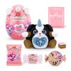 Rainbocorns Puppycorns Scented Surprise Assorted