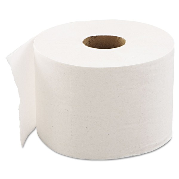 Envision 1944801 Bath Tissue,2-Ply Roll,1000 Sht,3-9/10-Inch x4-Inch ,48 Rolls/CT,WE