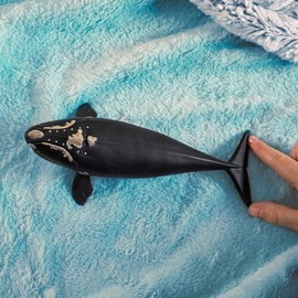Schleich Wild Life - Large, 19cm Right Whale Toy Figurine. Realistic Hand-Painted Hard Animal Toys for Boys and Girls. Durable, Educational Figure for Imaginative Play. Kids and Toddlers Ages 3+ 14878