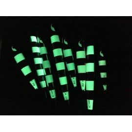 OCEAN CAT 1 PC Slow Fall Pitch Fishing Lures Sinking Lead Metal Flat Jigs Jigging Baits with Hook for Saltwater Fishing 5 Colors 80G/120G/160G/200G/250G/300G (Green&Gold, 80g(2 5/6oz))