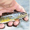 Hi-Look Microfiber Cleaning Cloth - Brook Trout
