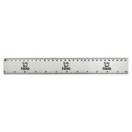 'To My Best Friend' 30cm (12 Inch) White Plastic Ruler (RL00090094)