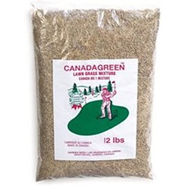 Canada Green Grass Lawn Seed - Grows Healthy Rich Green Grass Lawn Seed Plants Yard Garden 12 Pound Bag