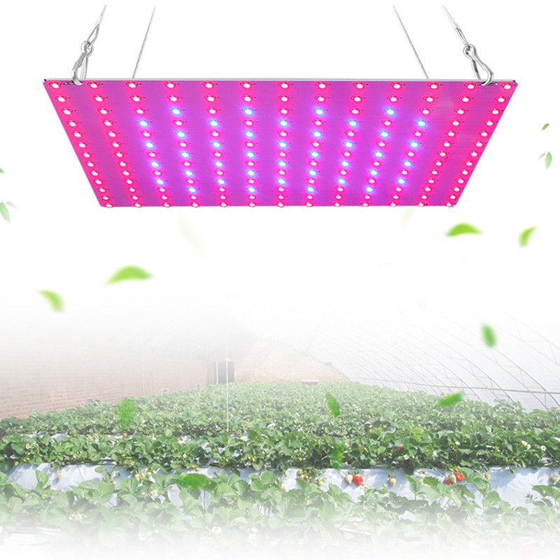 LED Plant Grow Lights for Indoor Plants Full Spectrum 12W