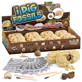Byncceh Fossils Excavation Set Fossil Excavation Site Excavation Set for Children 12 Real Fossils Archaeology Toy Party Favors Gift Boys Girls