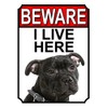 BEWARE I LIVE HERE METAL GATE SIGN AMERICAN STAFFORDSHIRE 200MM