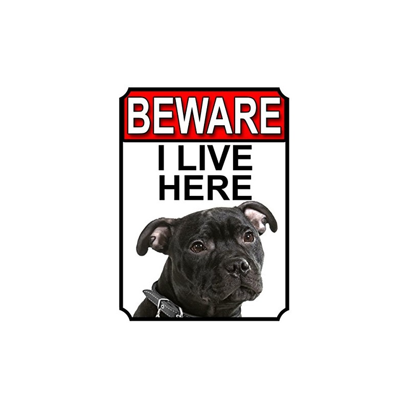 BEWARE I LIVE HERE METAL GATE SIGN AMERICAN STAFFORDSHIRE 200MM