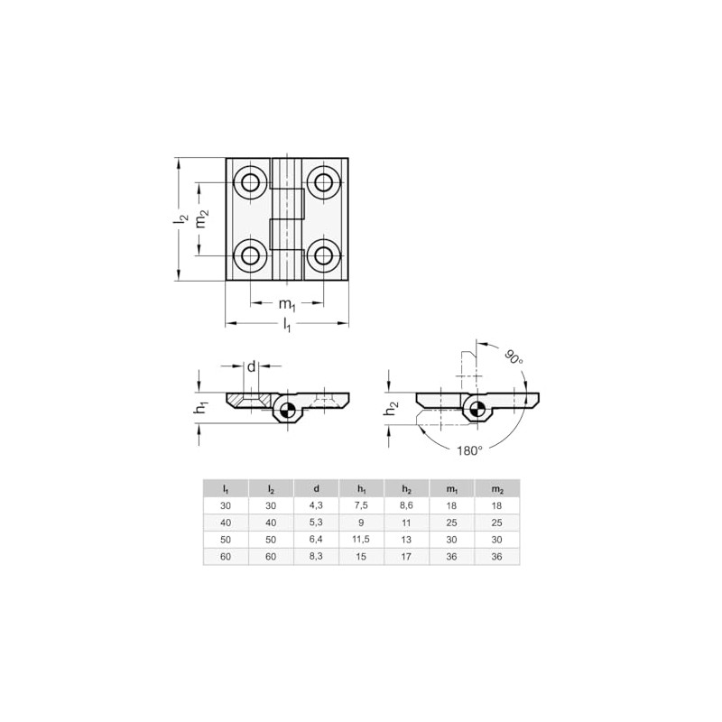 Ganter Standard Elements Hinges (Pair), Black/Matt, Structure Green 237/ZD/40/40 –