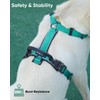 WagvyGo Premium Y-Shaped Dog Harness for Training & Daily Walk,No-Pull