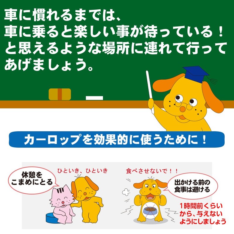 Karoppu to drive fun with pet