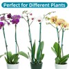Plant Clips ValueHall 100pcs Orchid Clips Plastic Mini Stalks Plant Orchid Support