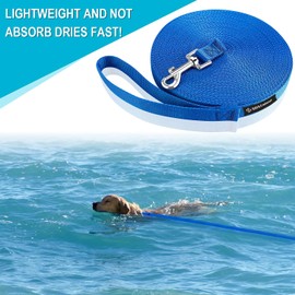 DDSCOLOUR Dog/Puppy Obedience Recall Training Agility Lead-16 ft 23 ft 33 ft 50 ft 66 ft Long Leash -for Training Leash, Play, Safety, Camping,or Backyard,0.8 Inch Wide Blue