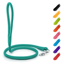 Rolled Leather Dog Leash 4Ft * 0.5 in for Small Medium and Large Dogs - Heavy Duty Leather Puppy Leash for Outdoor Walking Running Training - Strong Dog Leashes for Large Breed Dogs (Mint)