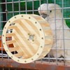 Birds Running Wheel Exercise Toys - Parrot Exercise Wheel Interactive