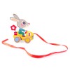 Djeco Pull Along Toy - Roulapic