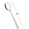 Fiazony 12-Piece Stainless Steel Teaspoons