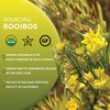 Worldwide Botanicals Organic Red Rooibos Tea – 1lb - 100%