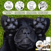 The Blissful Dog Paw Butter, Moisturizer For Dry Paw Pads,