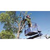 Z Z Sales Reciprocating Saw for Thick Wood Branches 300