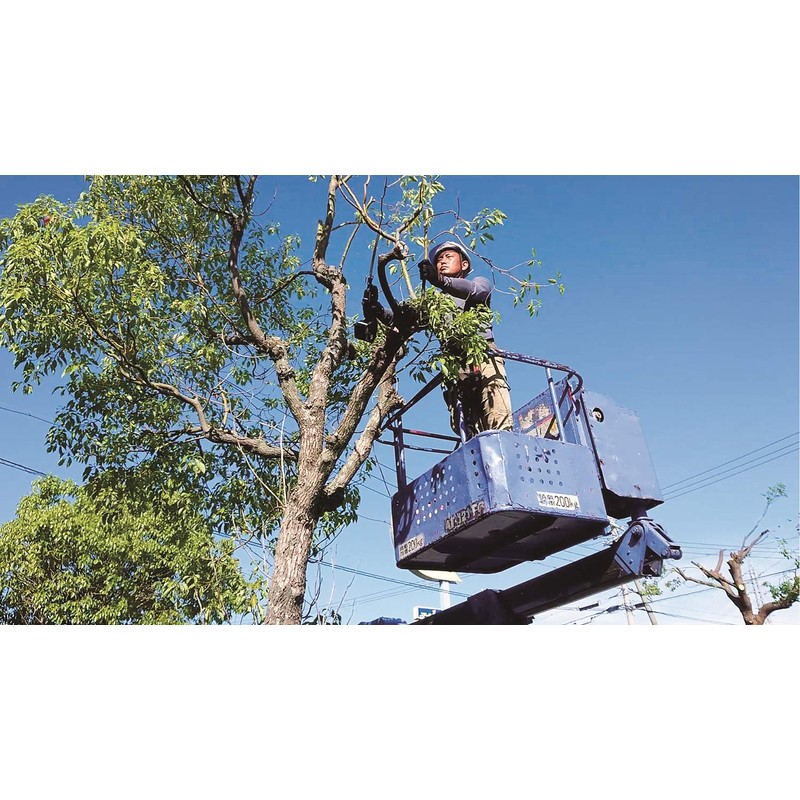 Z Z Sales Reciprocating Saw for Thick Wood Branches 300