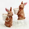 Rabbit With White Basket Planter Set of 2 – 14