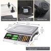 BROMECH Price Computing Scale, 66lb Digital Commercial Food Meat Produce