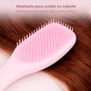 Claylal Professional Cepillo Desenredante para Cabello Anti Frizz + 2