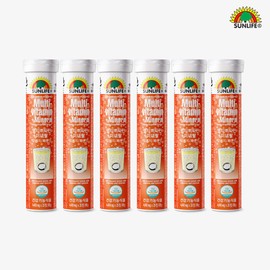 Sunlife Effervescent Multivitamin Mineral Orange & Grapefruit Flavor 20 Tablets, 6 Pieces / 썬라이프 발포 멀티비타민 미네랄 오렌지&자몽맛 20정, 6개