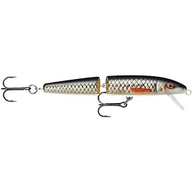 Rapala Floating Jointed 4.3 inches (11 cm), 0.3 oz (9 g) ROL Live Roach