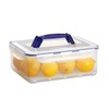 Lock & Lock Rectangular Tall Food Container with Handle, Clear/Blue