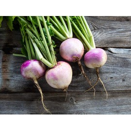 Purple Top Turnip Seeds for Planting, 1000+ Heirloom Seeds Per Packet, (Isla's Garden Seeds), Non GMO Seeds, Botanical Name: Brassica rapa subsp. rapa, Great Home Garden Gift