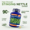 Zipvit Stinging Nettle 600mg, 200mg Per Tablet, 90 High Strength