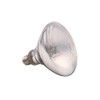 Mega-Ray Mercury Vapor Bulb - 100 Watts (120V) by Mega-Ray
