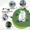 fairvital Calcium Magnesium Citrate Plus Vitamin D3-90 Capsules, High Dose,
