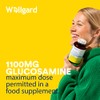 Vegan Glucosamine Phytodroitin by Wellgard - Quercetin, MSM, Botanical Alternative