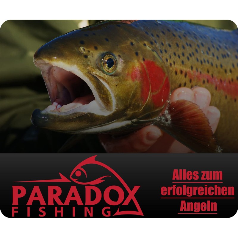 Paradox Fishing Tungsten Jig Hooks Set I 25 Pieces 0.3