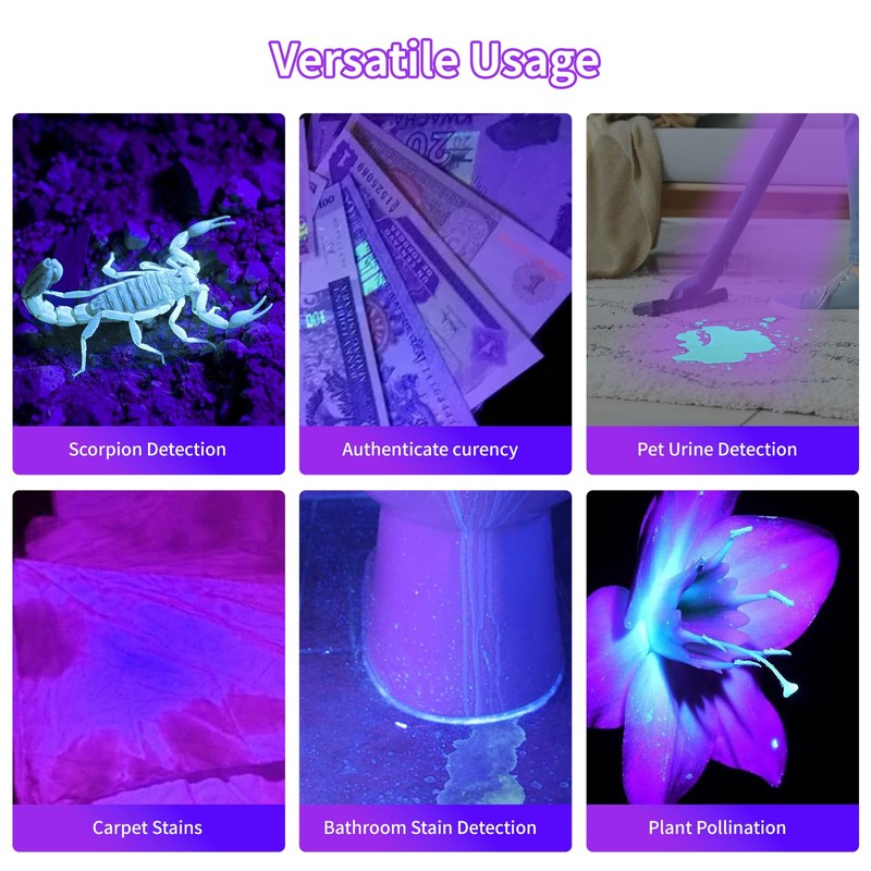 REALHUNLEE UV Flashlight Black Light, 100 LED Blacklight Flashlight Dry