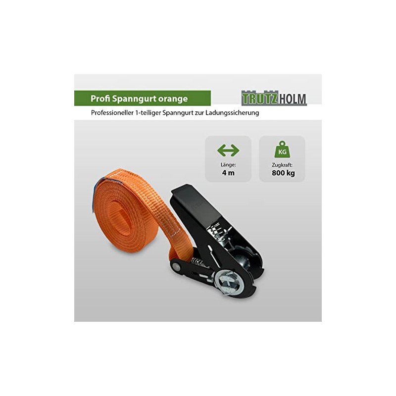 TRUTZHOLM Professional Ratchet Tie Down Strap Lashing Strap Ratchet Orange