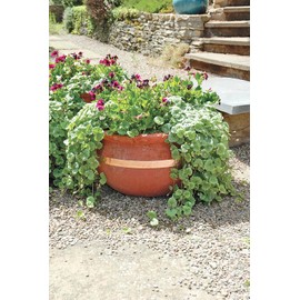 easylife lifestyle solutions Slug Repelling Copper Tape (4.5m roll) - Pack of 2 | 4.5m | Pack of 2