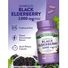 Nature's Truth Black Elderberry Capsules | 100 Count | Super