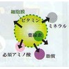 ラクトユーグレナ50cp